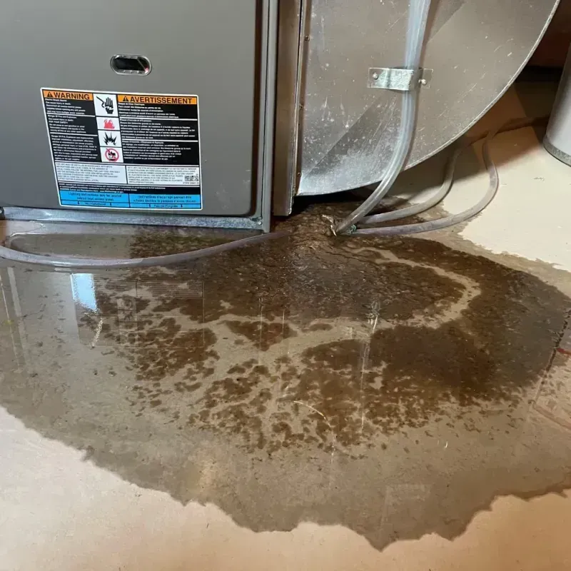 Appliance Leak Cleanup in South Jordan, UT